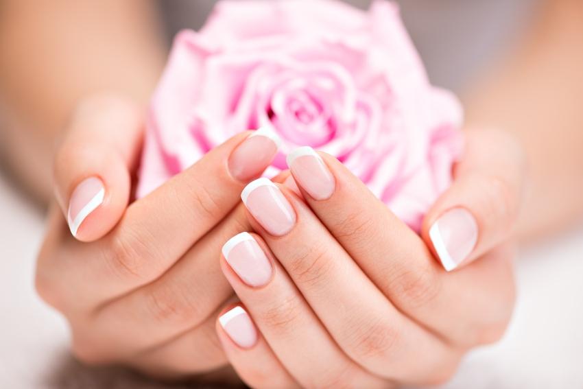 Klassische French Manicure mit Rose in der Hand