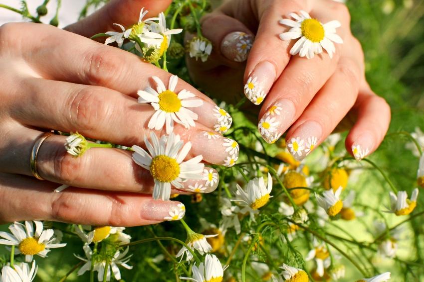 Gänseblümchen Nageldesign