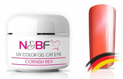 Cat Eye Farbgel Cornish Rex 5ml