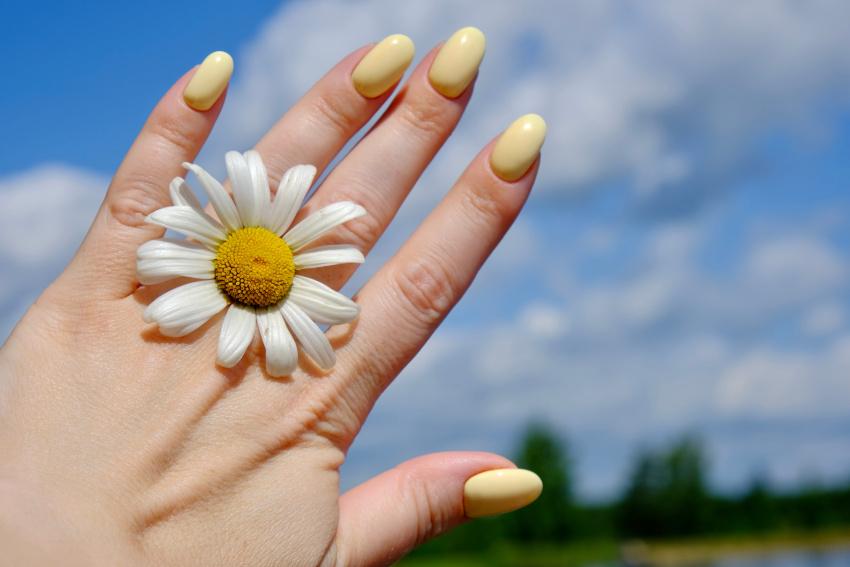 Pastellgelbe Vanilla Nails 