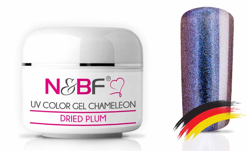 Chameleon Farbgel Dried Plum 5ml