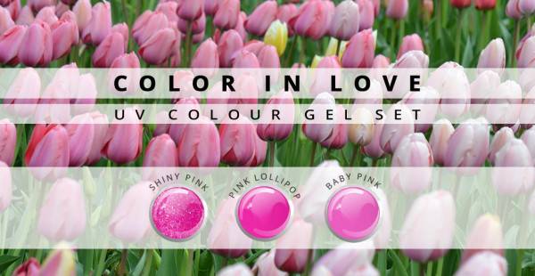 Nails & Beauty Factory Color in Love Farbgel 3er Set