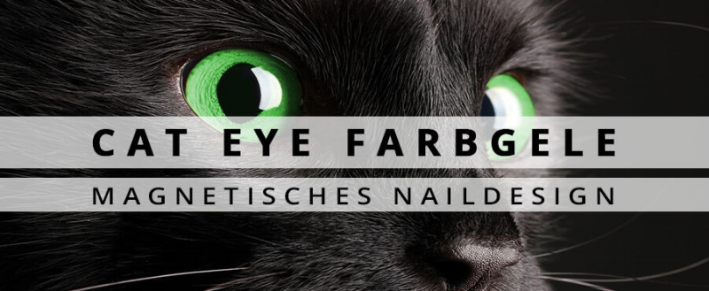 cat eye gele magnetische effekte nails factory nails beauty factory cat eye uv farbgele