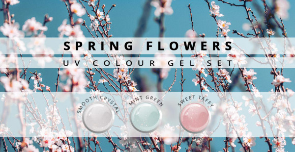 Nails & Beauty Factory Farbgel Set Spring Flower 3er Set