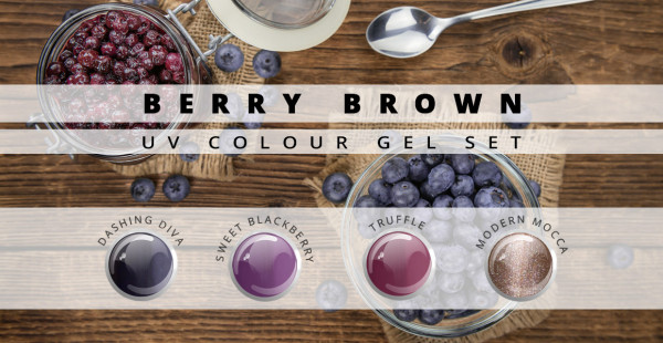 Nails & Beauty Factory Color Gel Set Brown Berry