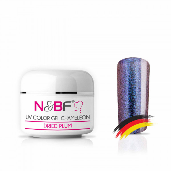 Nails & Beauty Factory UV Color Gel Chameleon Dried Plum Farbgel 5 ml