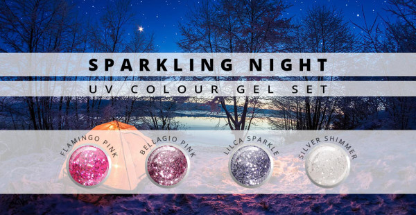 Nails & Beauty Factory Farbgel 4er Set Sparkling Night