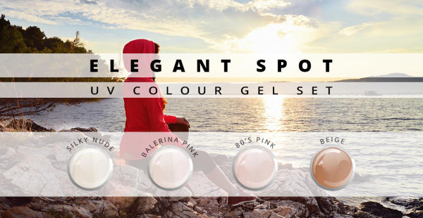 Nails & Beauty Factory Elegant Spot Farbgel 4er Set